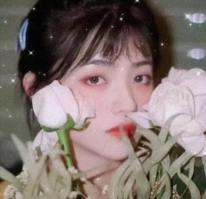 节日开始了